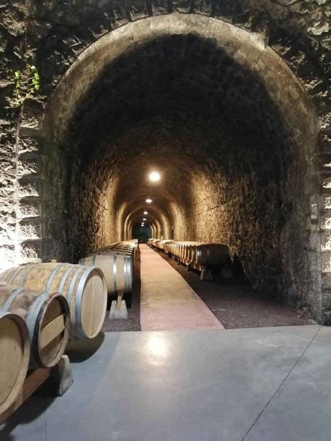 Les Barras'K Villa Saint-Peray Luaran gambar
